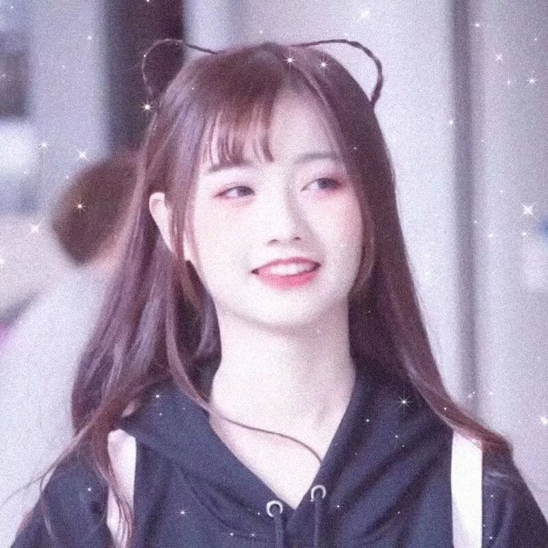 智叻狗仔队